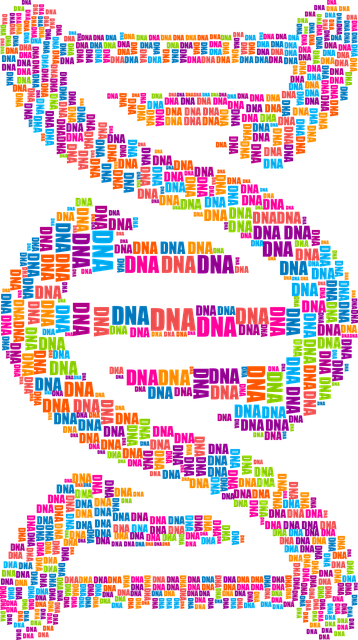 dna, deoxyribonucleic acid, typography